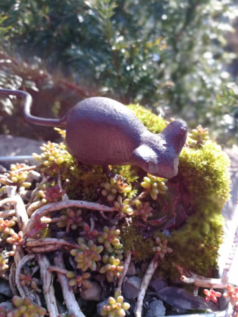 Gusseisen Maus Speedy, Kopf seitlich