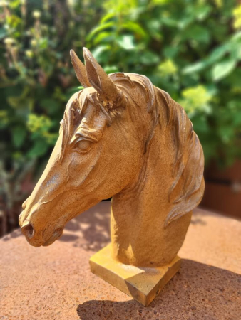 Gusseisen Pferdekopf, mit Edelrostfinish