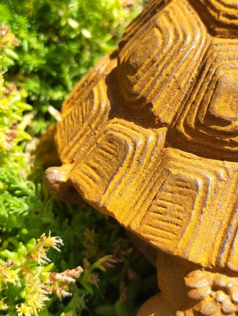 Gusseisen Schildkröte Gomez, mit Edelrostfinish