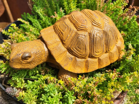 Gusseisen Schildkröte Gomez, mit Edelrostfinish