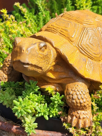 Gusseisen Schildkröte Gomez, mit Edelrostfinish