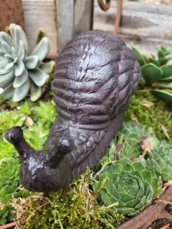 Gusseisen Schnecke Snaili