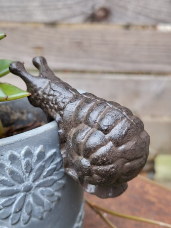 Gusseisen Schnecke zum Einhängen