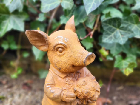 Preview: Gusseisen Schwein Franz