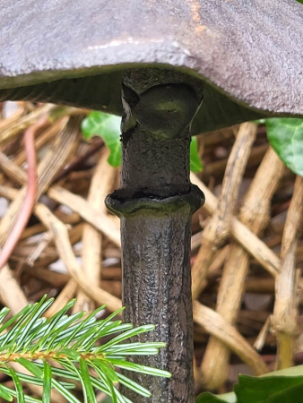 Preview: Gusseisen Pilz zum Stellen, flacher Hut