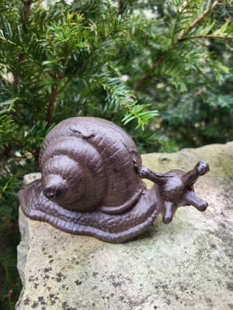 Gusseisen Schnecke Samanta, Kopf seitlich