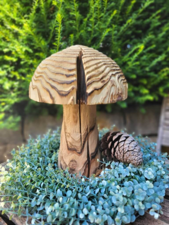 Holzpilz