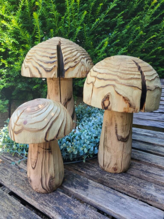 Holzpilz