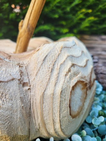Holzkürbis