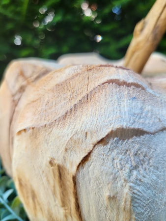 Holzkürbis