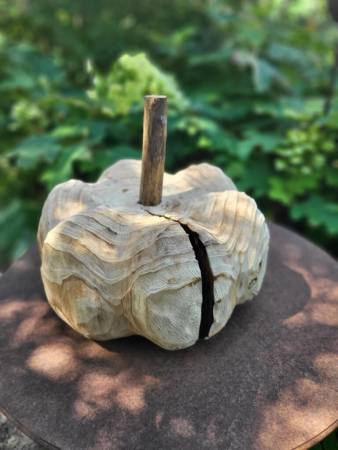 Holzkürbis