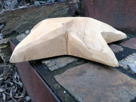 Teakholzstern
