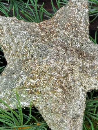 Kunststoffstern Dost, gold
