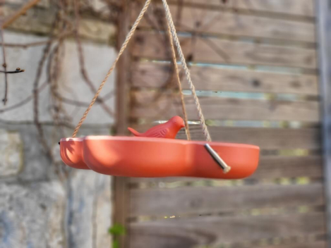 Preview: Kunststoff Futterschale/Vogelbad Lavena, Blume orange