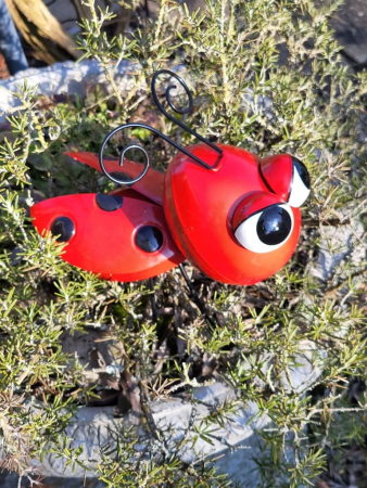 Preview: Metall Käfer, rot