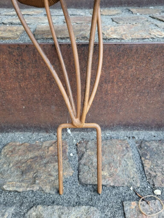 Topfstecker 5er Pilz-Gruppe, Edelrostoptik 3D