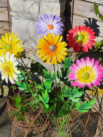 Topfstecker Blüte Daisy