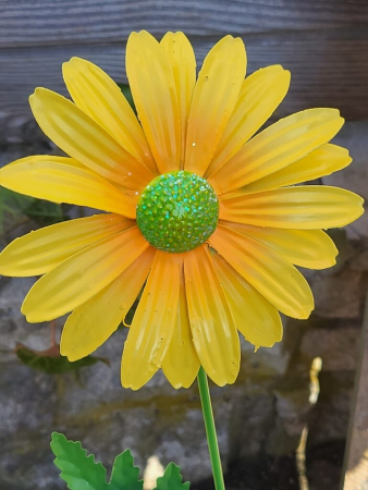 Topfstecker Blüte Daisy