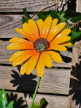 Topfstecker Blüte Daisy
