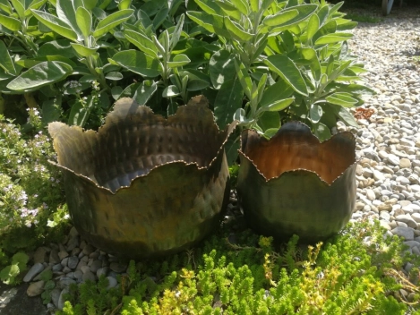 Pflanzschale Blüte mit Punktrand, kupfer-grün