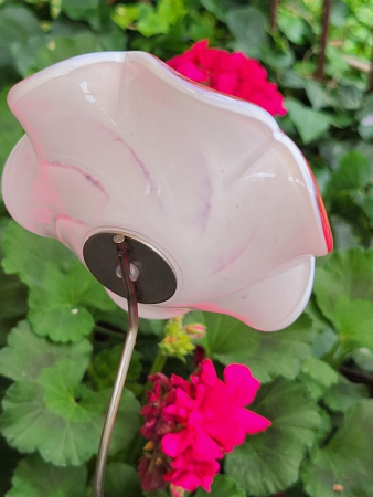Topfstecker Glasblume Kringel, pink