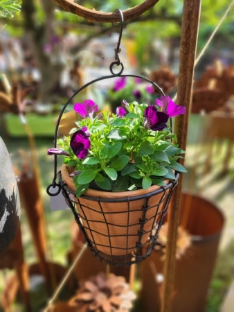 Preview: Pflanzkorb Gitter inkl. Topf