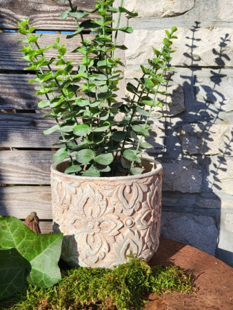 Pflanztopf Isolotto, antik-beige