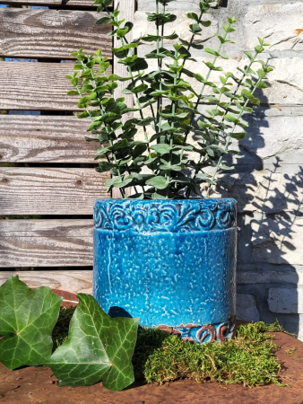 Pflanztopf Luisi, blau