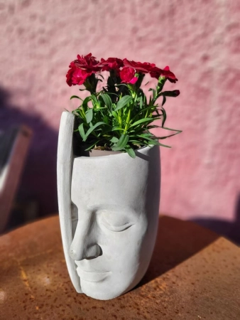 Pflanzvase halbes Gesicht, modern