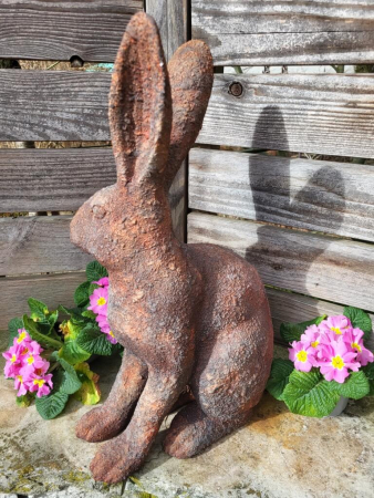 Hase Graz, Rostoptik, Blick rechts