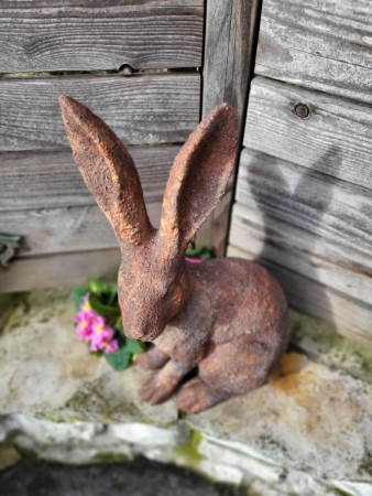 Hase Graz, Rostoptik, Blick links