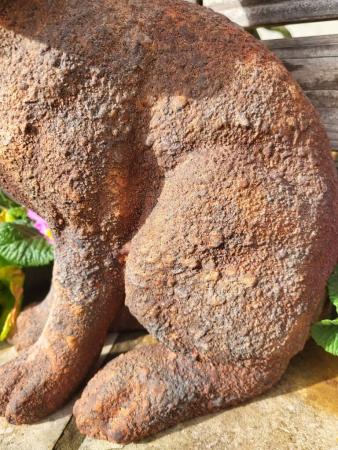 Hase Graz, Rostoptik, Blick links