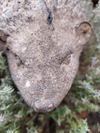 Polyresin Igel Spikes