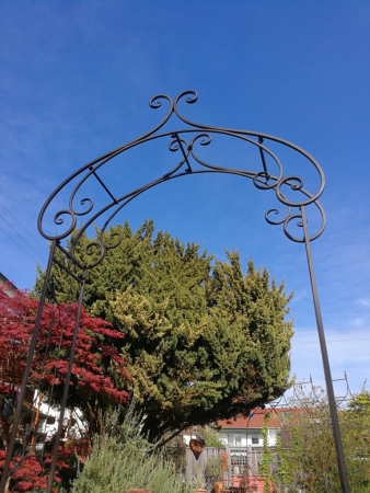 Rosenbogen Verona, dunkelbraun lackiert