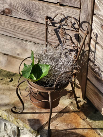 Preview: Edelrostoptik Stuhl mit Rankenmuster, zum Bepflanzen