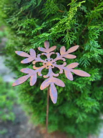 Edelrost Schneeflocke Välli am Stab