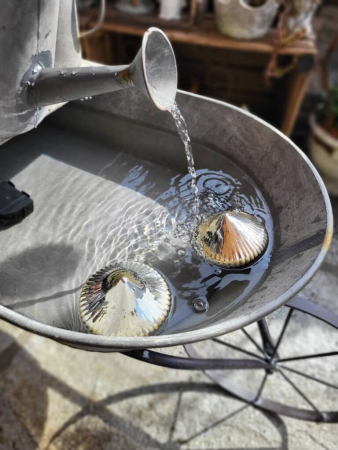 Shabby Chic Wasserspiel Schubkarre