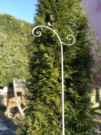 Ampelhalter mit Vogel, Shabby Chic