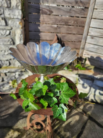 Blütenschale auf Fuß, vernickelt