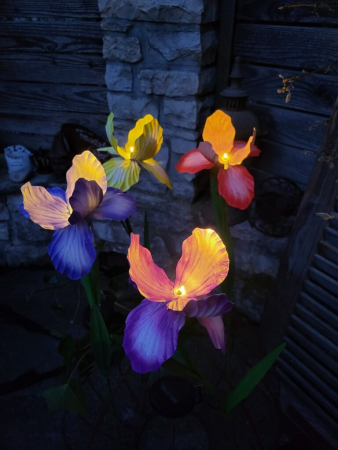 Solarblume Iris zum Stecken, gelb