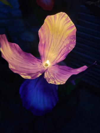 Solarblume Iris zum Stecken, violett