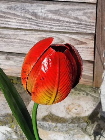 Solarblume Tulpe zum Stecken, rot
