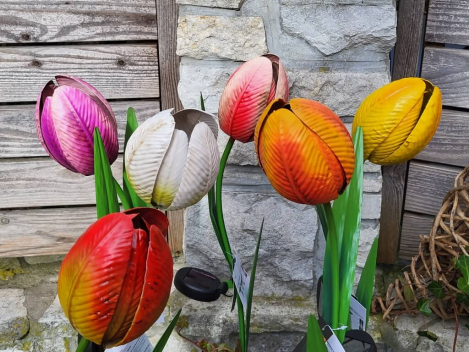 Preview: Solarblume Tulpe zum Stecken, pink