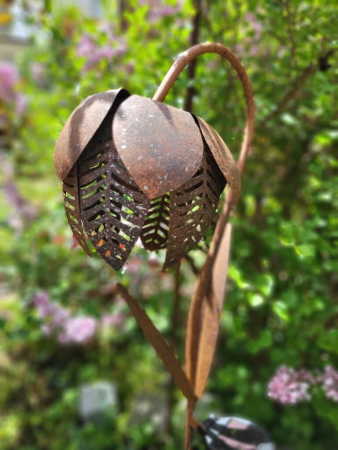 Edelrost Stecker Solarblume Fritularia, kaltweiß