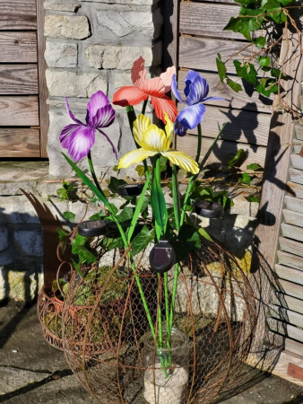 Solarblume Iris zum Stecken, blau