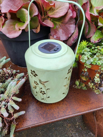 Preview: LED Solarlaterne Blumen, Kolibri, zart-grün