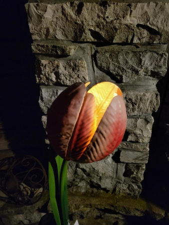 Solarblume Tulpe zum Stecken, pink