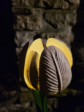 Solarblume Tulpe zum Stecken, weiß