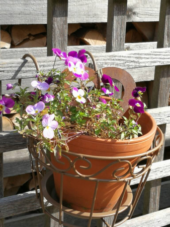 Herz zum Bepflanzen ausEdelrost 26cm Pflanztopf Gartendeko Garten DekoTopf
