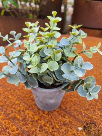 Preview: Topfpflanze Eukalyptus, grau (künstlich)